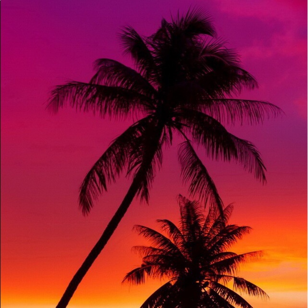 Meet your Posher, Julie. Reasonable offers welcome